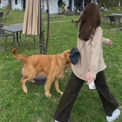 不死心灵